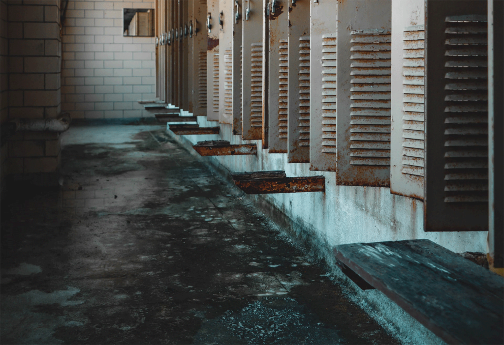 Prevent-mold-with-Natural-Stone