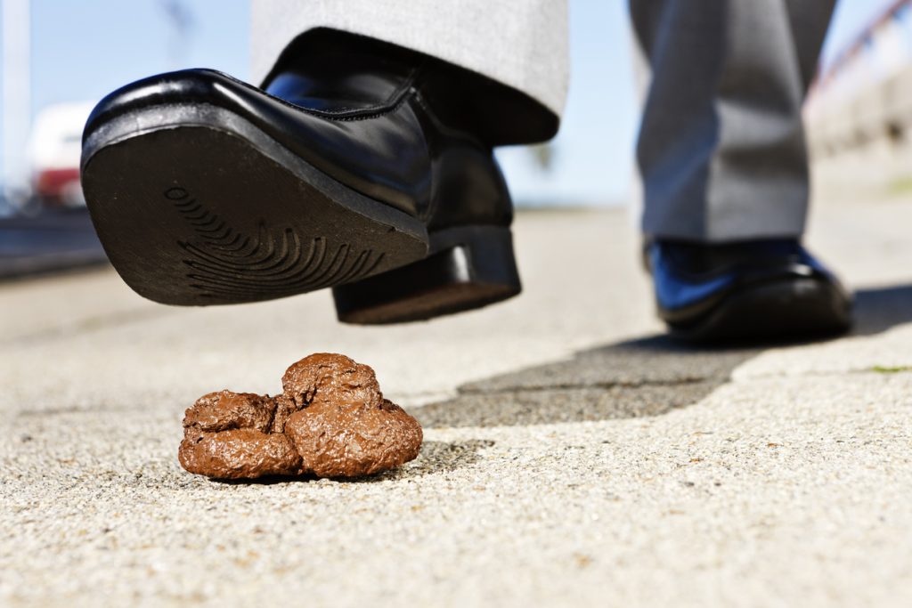 Any second now! Man's foot hovers over dog poo